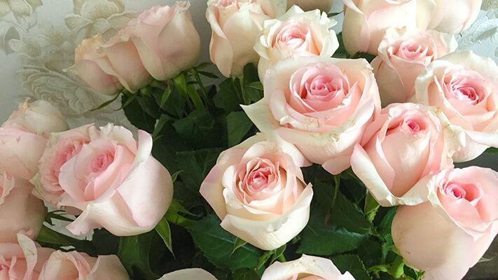 Verified Post A Rose Discount Code